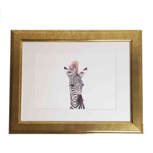 Baby Zebra Art Print