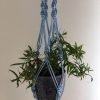 light blue macrame plant hanger