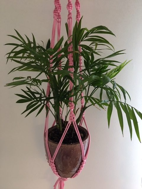 light pink macrame plant hanger