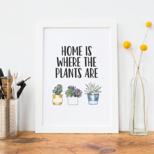 Home Is Where The Plants Are Art Print