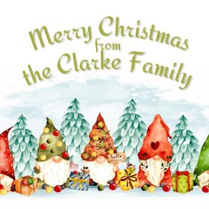 Bespoke Family Christmas Cards - Gnome Family