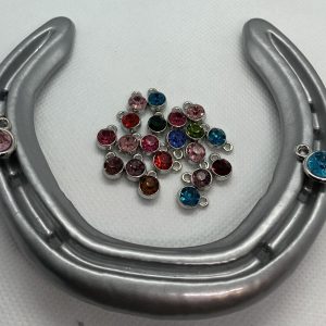 Birthstone Horse Shoe Collection