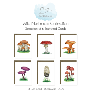 Irish Mushroom Cards 6 Pack