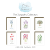 Sympathy Cards 6 Pack