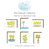 Daffodil Cards 6 Pack