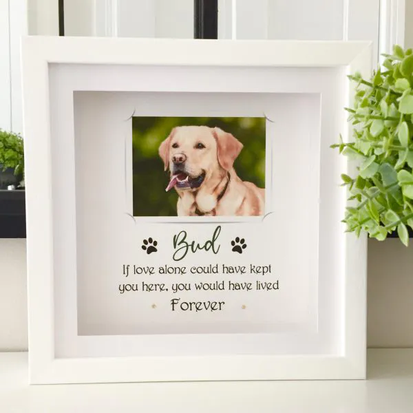 personalised frame for pet dog cat