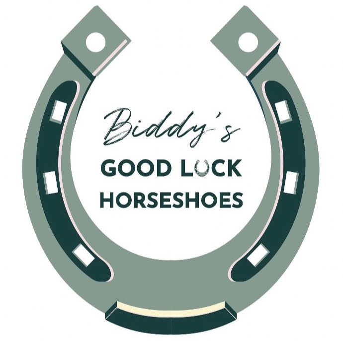 Biddys Good Luck Horse Shoes